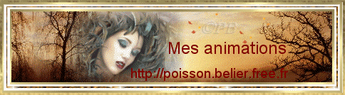 Mon site Mes animations