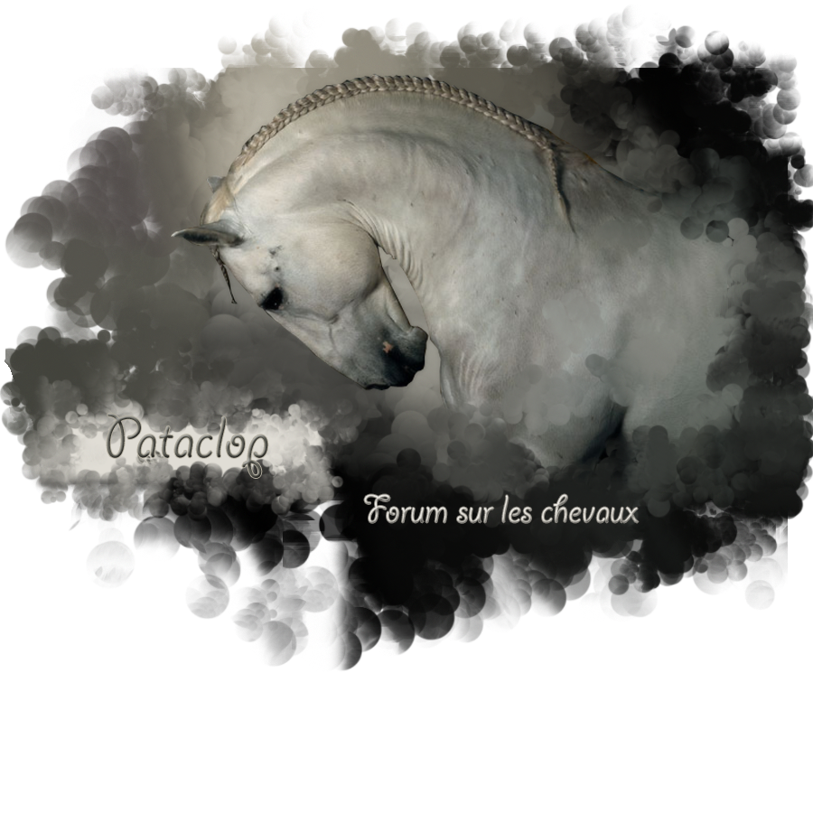 Pataclop 