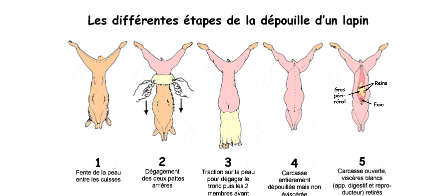 A posté une image