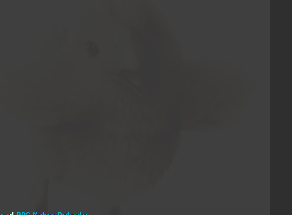 Le blog de Tjaak - Bugtracker 1-2863628