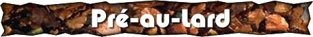 http://img41.xooimage.com/files/5/0/e/logo-1dfea5a.jpg