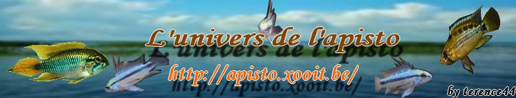 Apistogramma Forum Index