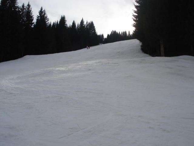 Chevreuil / Megève Jaillet Dsc03915-856508