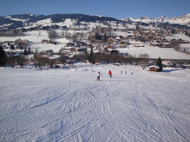 Grand bois; Megève Mont d'arbois Dsc00584-9608d9