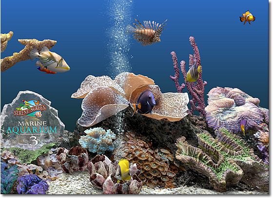 SereneScreen Marine Aquarium 3