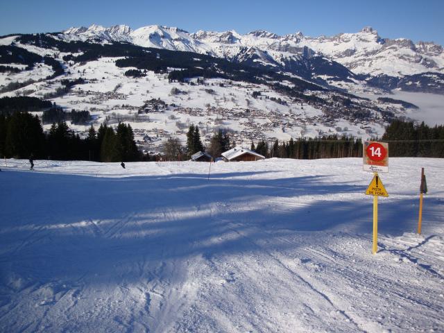 Grand bois; Megève Mont d'arbois Dsc00567-9606aa