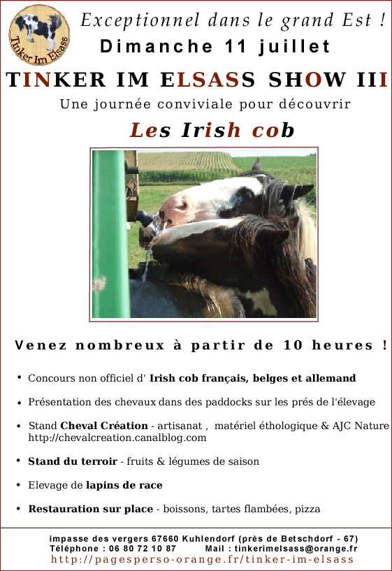 Tinker im Elsass show 3 le 11.07.2010 - Page 4 Affiche-irich-1e11680