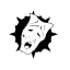 Nosferatu Antitribu Nosferatu Antitribu