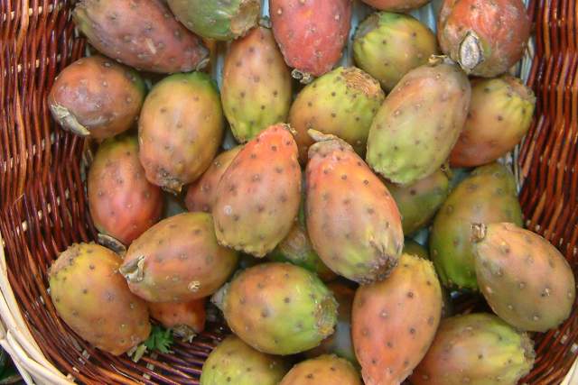 figues de barbarie