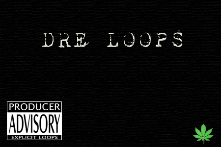 Motion Studio Dr. Dre Loops WAV 